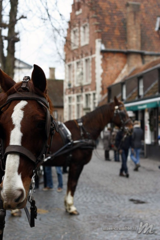 Bruges-Belgique