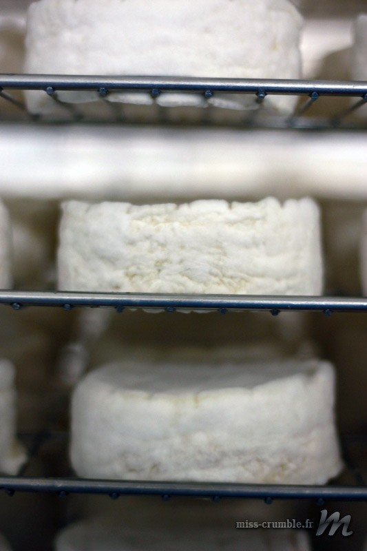 fabrication camembert