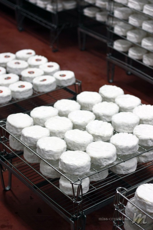 fabrication camembert