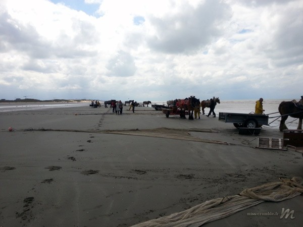 ostende-plage