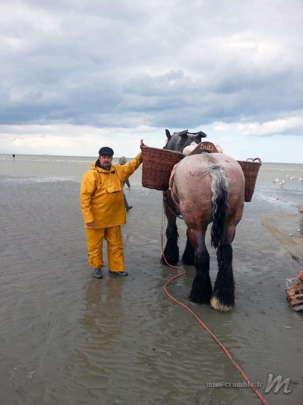 pecheurs-cheval-ostende