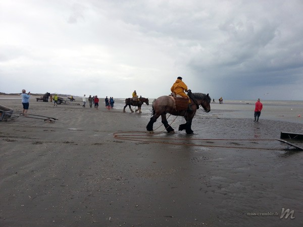 pecheurs-cheval-ostende