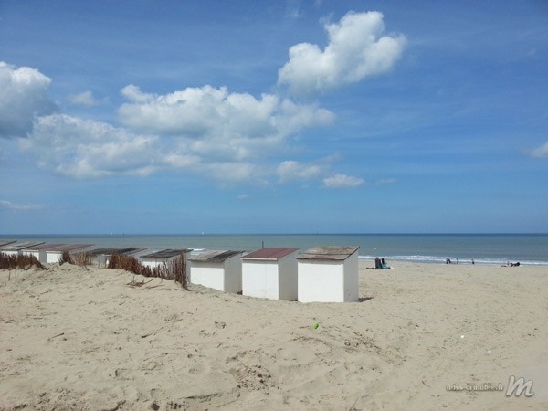 plage-beredene