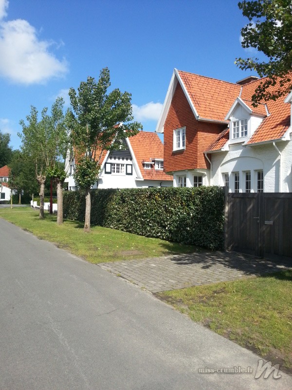 station-le-haan-belgique