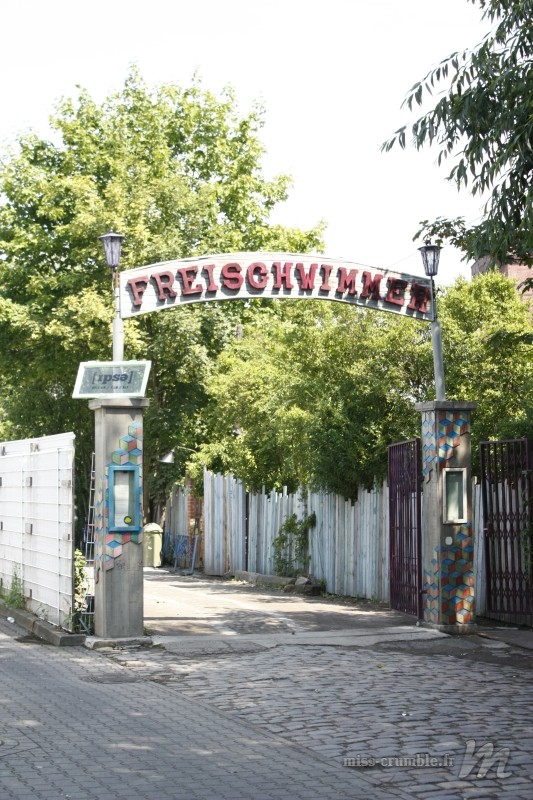 freischwimmer-berlin
