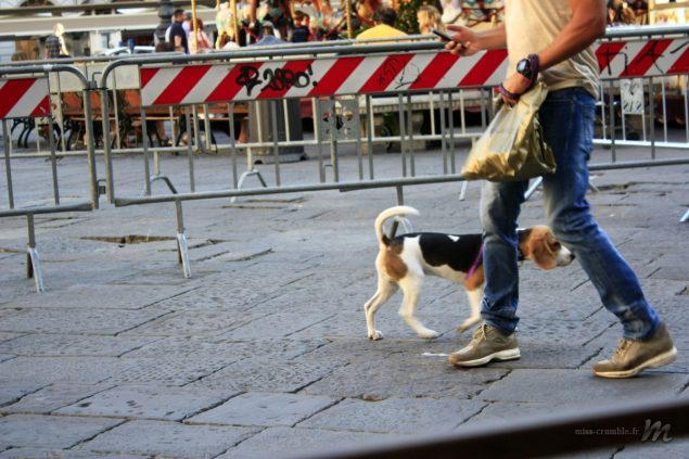 florence-1