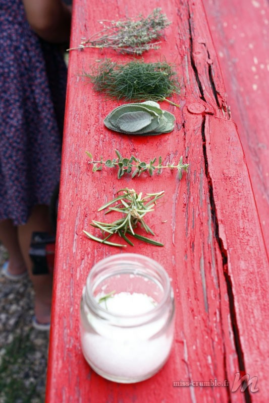 herbes-aromatiques
