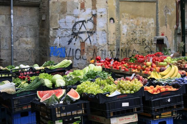 marche-pisa