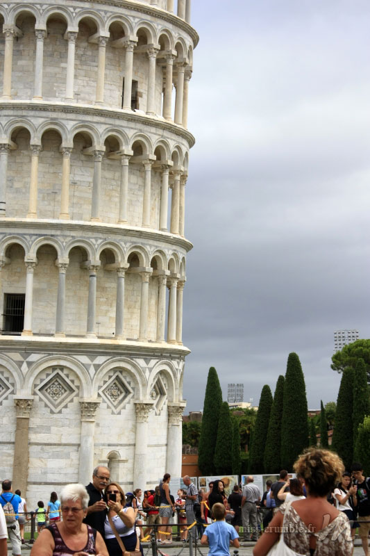 pisa-7