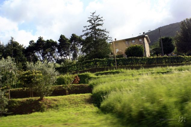 toscane-1