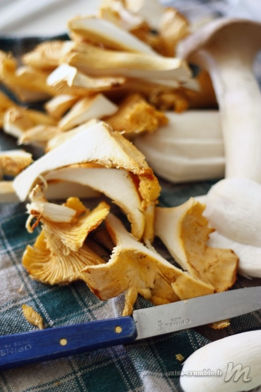 Champignons