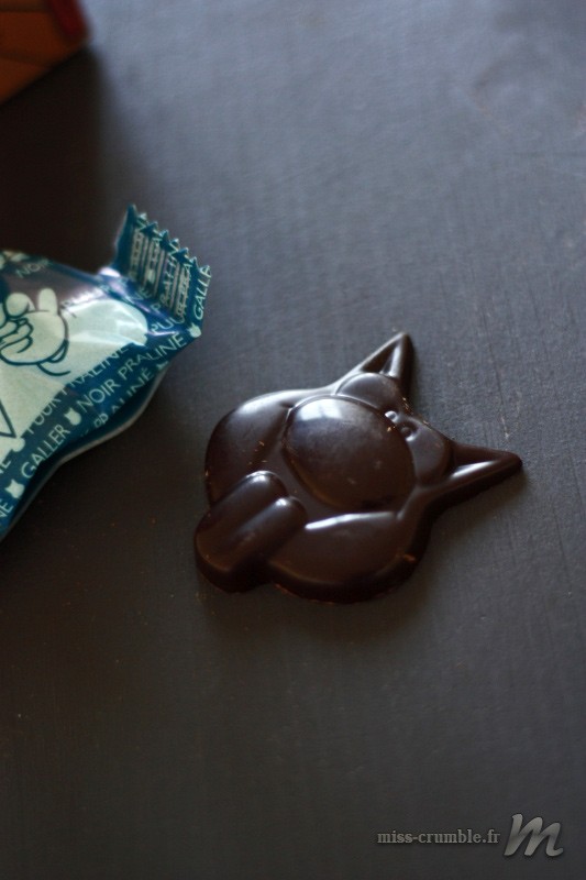 Chocolats-Galler-Le-Chat-Geluck