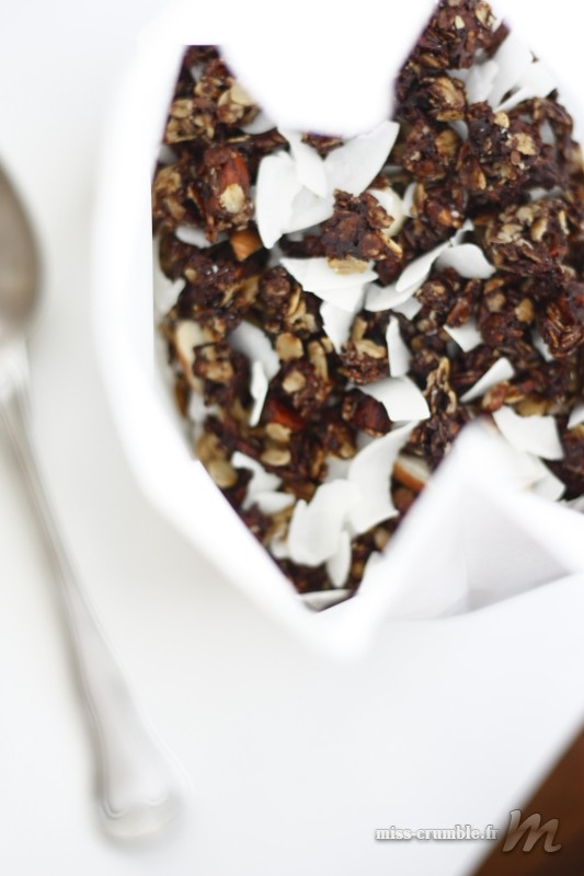 recette-granola-chocolat