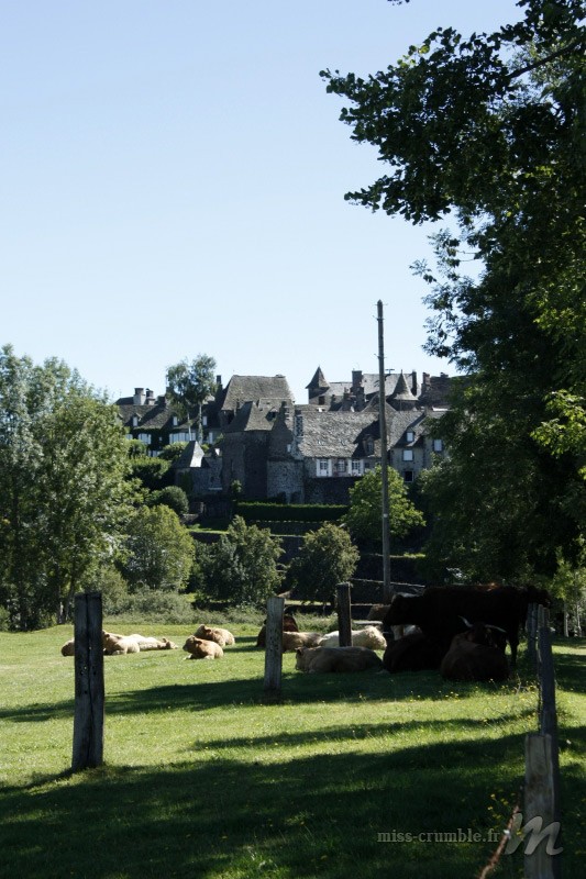 cantal4