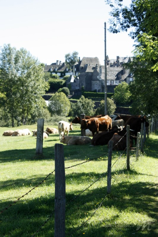 cantal6