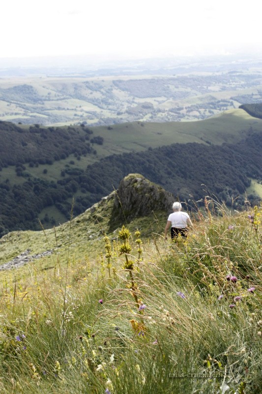 cantal8