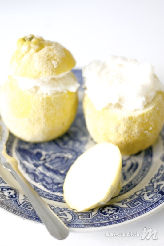citron_givre