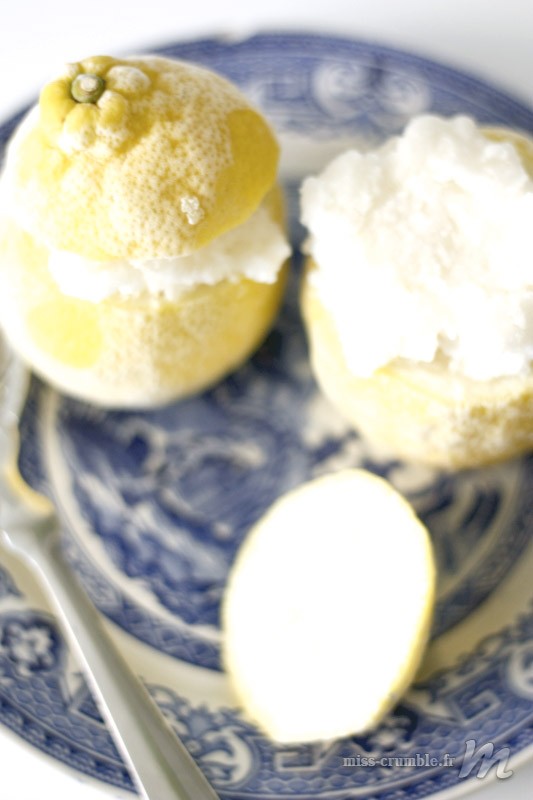 citron_givre