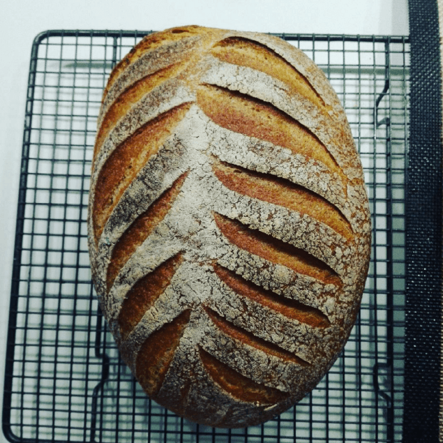 Pain-polenta
